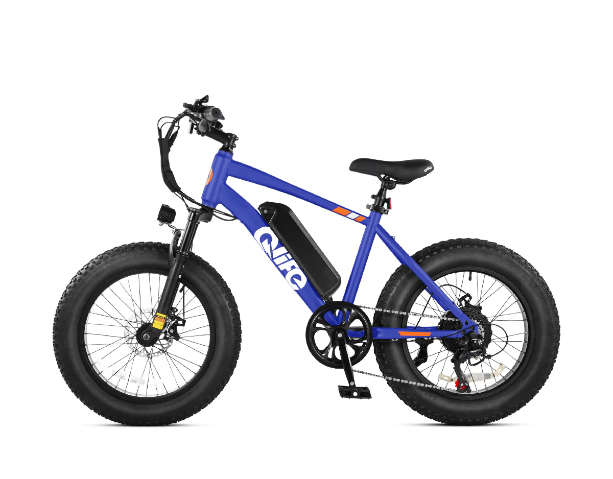 Racer 20x4.0'' Fat Tire Electric Bike For Adults - Image 18