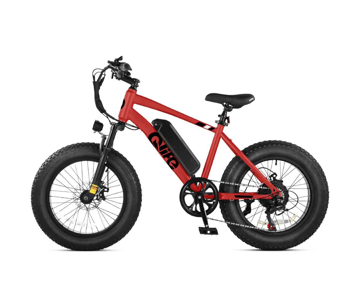 Racer 20x4.0'' Fat Tire Electric Bike For Adults - Image 19