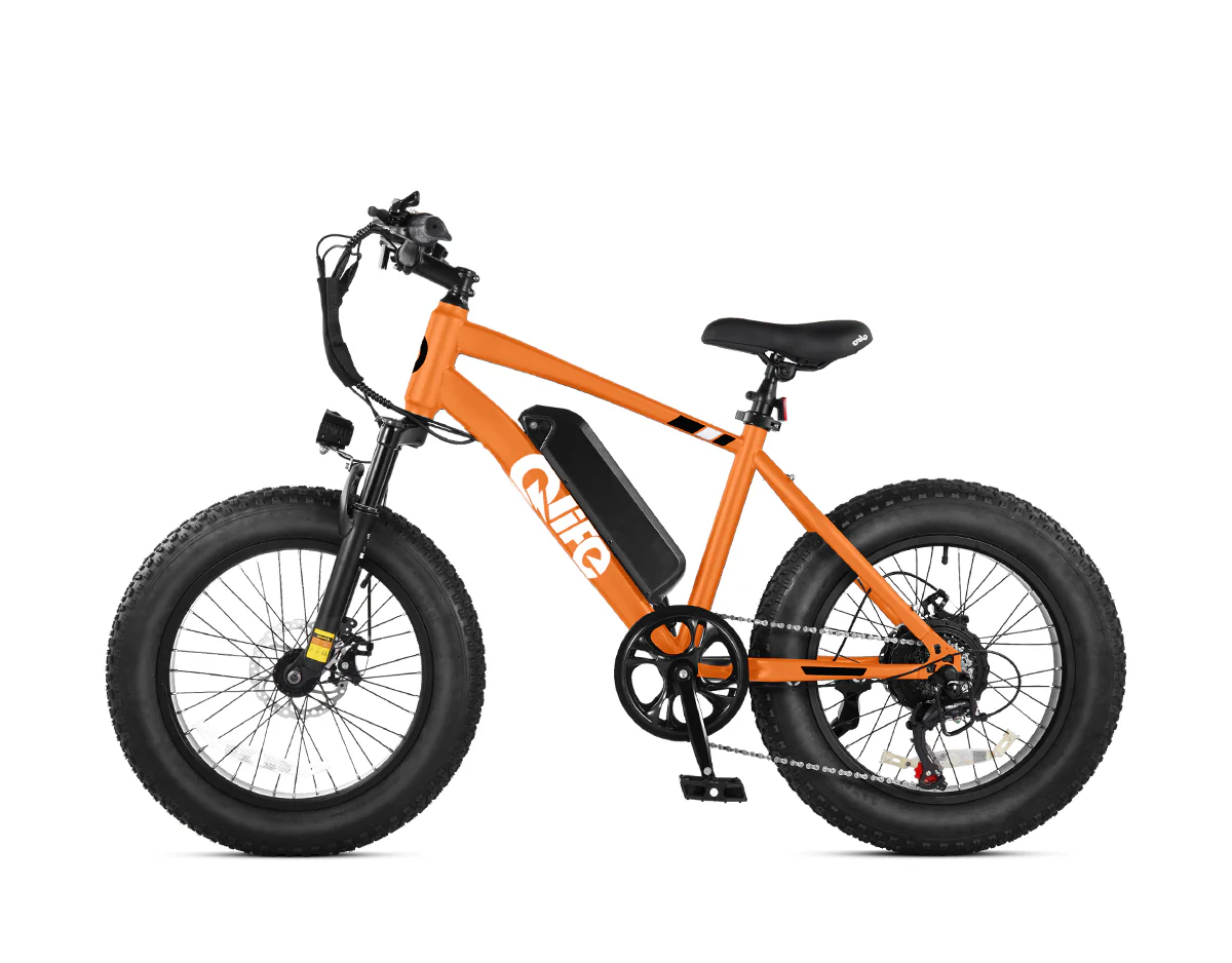 Racer 20x4.0'' Fat Tire Electric Bike For Adults - Image 21