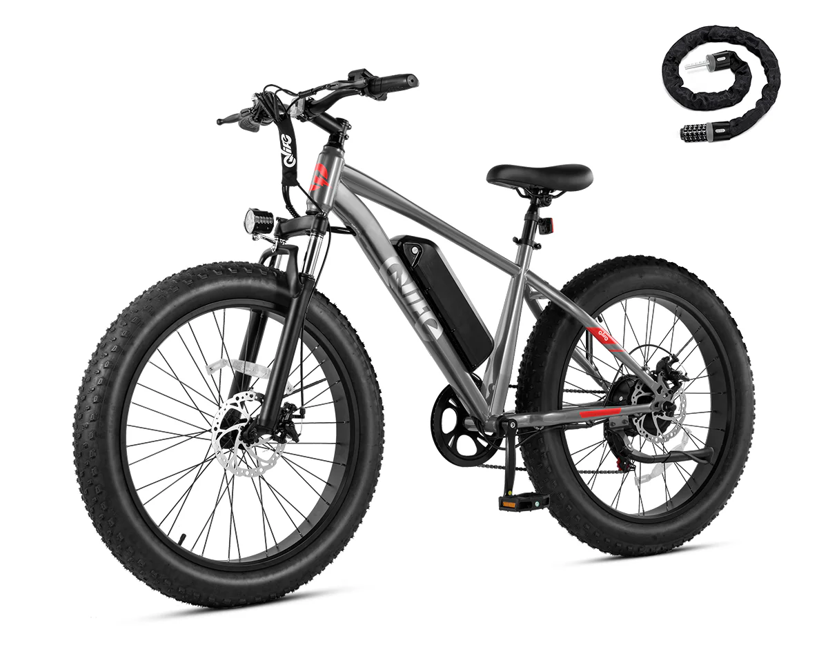 Racer Plus 26x4.0'' Fat Tire Electric Bike For Adults - Image 42